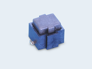 JPM(LSP)